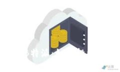 了解Bsrc B特派：如何投资与风险管理
