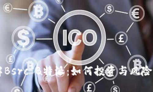 了解Bsrc B特派:如何投资与风险管理