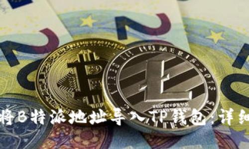 如何将B特派地址导入TP钱包:详细指南