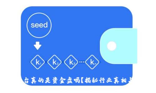 区块链平台真的是资金盘吗?揭秘行业真相与未来发展