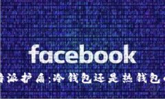 探讨B特派护盾：冷钱包还是热钱包的