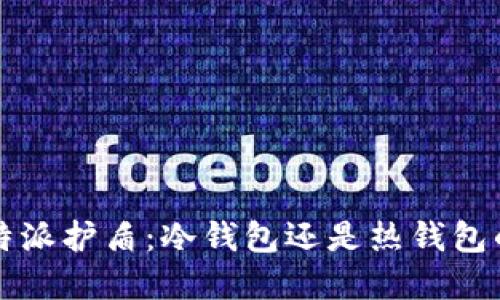 探讨B特派护盾:冷钱包还是热钱包的选择?