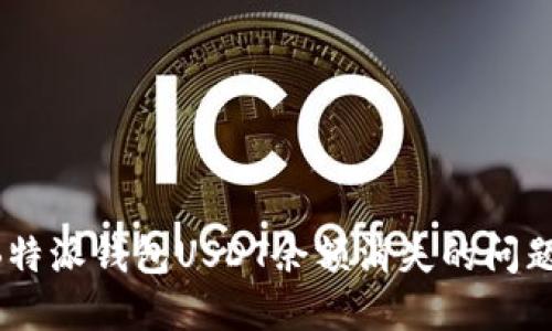 如何解决B特派钱包USDT余额消失的问题:完整指南