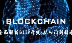 全面解析BITP开发：从入门到精通