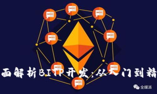 全面解析BITP开发:从入门到精通