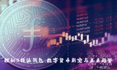 探秘B特派钱包：数字货币新宠与未来