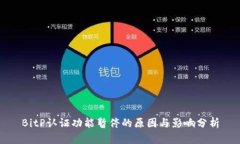 BitP认证功能暂停的原因与影响分析