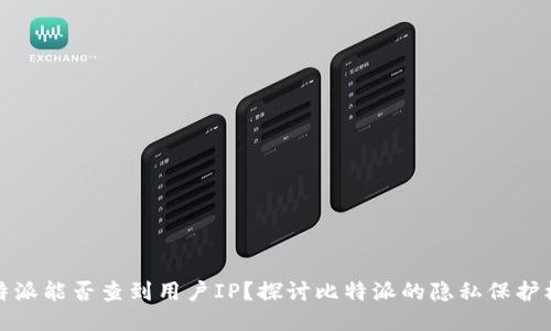 比特派能否查到用户IP?探讨比特派的隐私保护机制