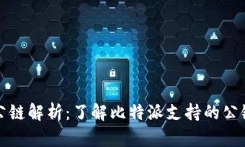 比特派的公链解析:了解比特派支持的公链及其优势