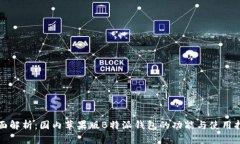 全面解析：国内苹果版B特派钱包的功