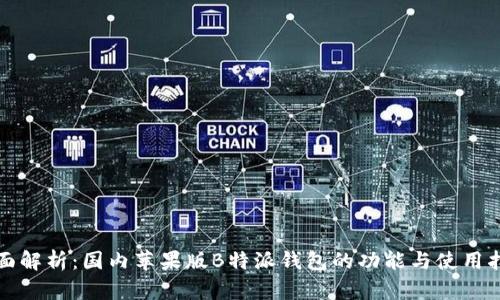 全面解析:国内苹果版B特派钱包的功能与使用指南