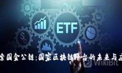 探索国金公链：国家区块链平台的未来
