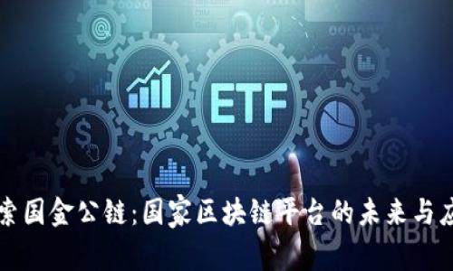 探索国金公链:国家区块链平台的未来与应用