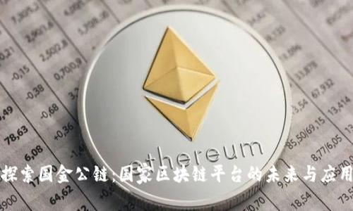探索国金公链:国家区块链平台的未来与应用