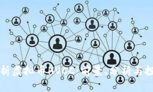 深度解析虚拟币HVCC:前景、分析与投资指南