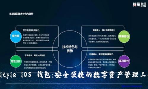 Bitpie iOS 钱包:安全便捷的数字资产管理工具