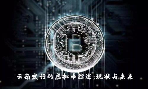 云南发行的虚拟币综述:现状与未来