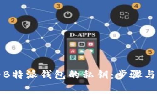 如何查看B特派钱包的私钥:步骤与注意事项