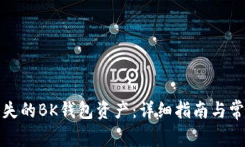 如何找回丢失的BK钱包资产:详细指南与常见问题解答