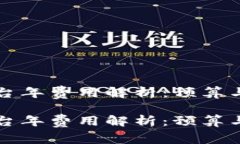 区块链平台年费用解析：预算与投资回