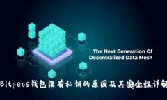 Bitpeos钱包没有私钥的原因及其安全性