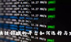 区块链领域的平台如何选择与发展