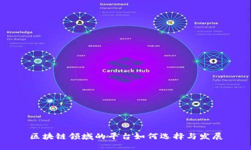 区块链领域的平台如何选择与发展
