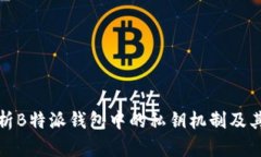 深入解析B特派钱包中的私钥机制及其