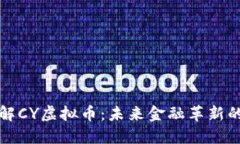 深入了解CY虚拟币：未来金融革新的新