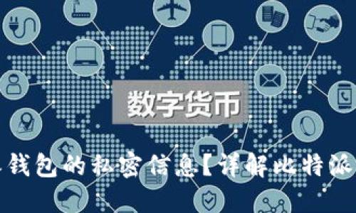 如何查看比特派钱包的私密信息?详解比特派的隐私保护机制