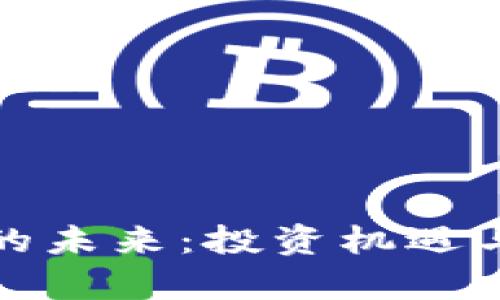 : 虚拟币的未来：投资机遇与风险分析