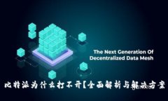 比特派为什么打不开？全面解析与解决