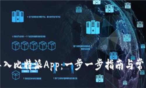 如何有效导入比特派App:一步一步指南与常见问题解析