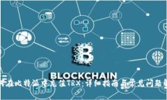 如何在比特派中充值TRX：详细指南与常