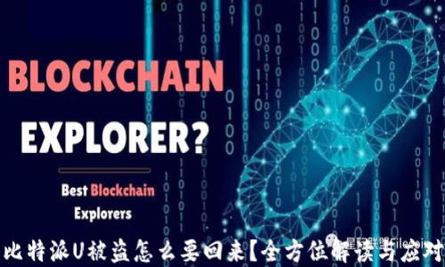 比特派U被盗怎么要回来?全方位解读与应对