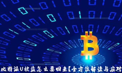 比特派U被盗怎么要回来?全方位解读与应对