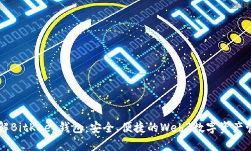 全面了解BitKeep钱包:安全、便捷的Web3数字资产管理平台