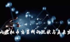 国内虚拟币交易所的现状与未来发展
