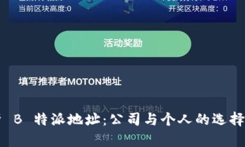 解析 B 特派地址:公司与个人的选择分析
