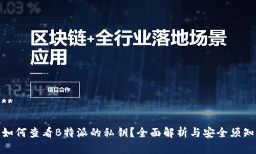 **
如何查看B特派的私钥?全面解析与安全须知
