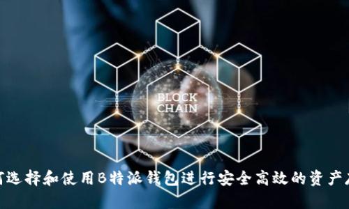 如何选择和使用B特派钱包进行安全高效的资产存储