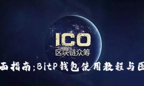 全面指南:BitP钱包使用教程与图解