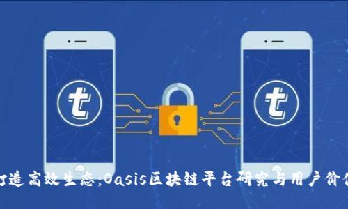 打造高效生态:Oasis区块链平台研究与用户价值