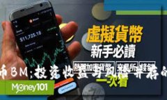 探秘虚拟币BM：投资收益与风险并存的
