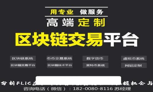 深入分析FLlC虚拟币走势：投资者如何把握机会与风险