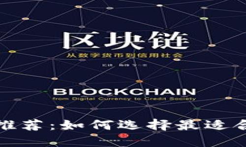 安全可靠的虚拟币钱包推荐:如何选择最适合你的数字资产保护方案