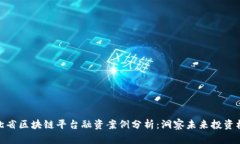 湖北省区块链平台融资案例分析：洞察