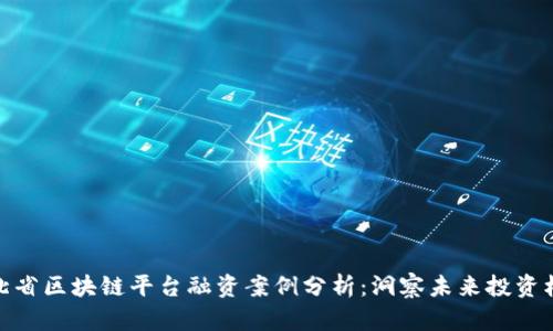 湖北省区块链平台融资案例分析:洞察未来投资机会