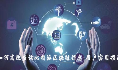 如何高效查询比特派区块链信息:用户实用指南