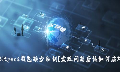 Bitpeos钱包缺少私钥?发现问题后该如何应对